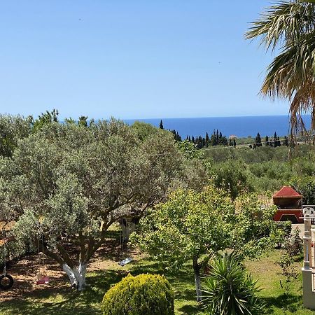 Lemon Tree Apartments A D Argostoli  Bagian luar foto