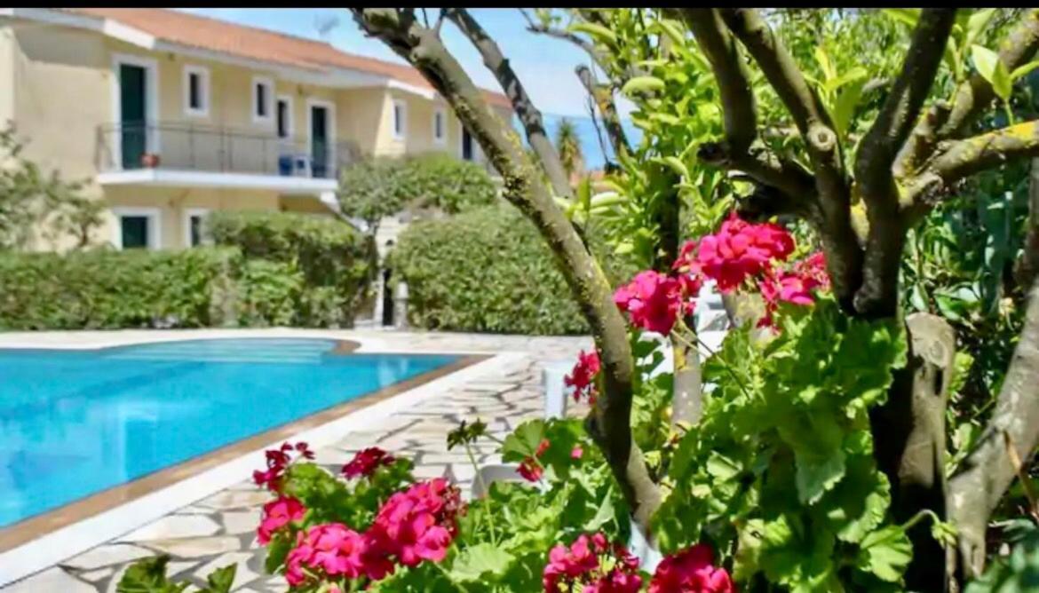 Lemon Tree Apartments A D Argostoli  Bagian luar foto