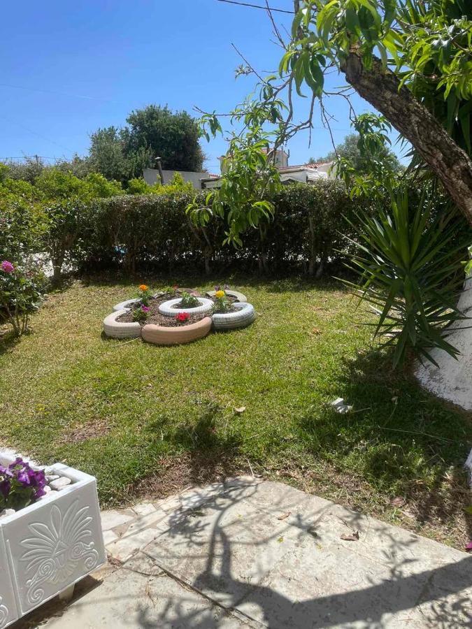 Lemon Tree Apartments A D Argostoli  Bagian luar foto